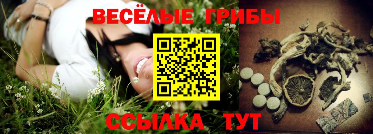 Псилоцибиновые грибы Psilocybe  Вход с VPN  Большой Камень  Псилоцибиновые грибы Psilocybine cubensis 